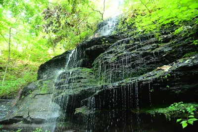 DSC_2830 (Large).JPG